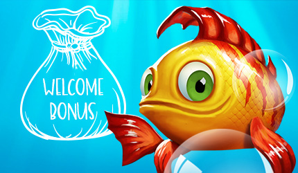 Приветственный пакет